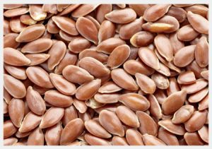Linseed seeds and fibers – premium food and fiber crop