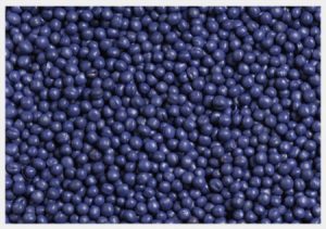 Premium bulk rapeseed seeds for oil production and animal feed